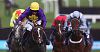 Grand National Odds: Lord Windermere