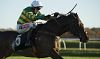 10/1 Unowhatimeanharry to win the Stayers Hurdle