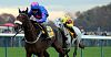 Cue Card enhanced to 20/1 Gold Cup - Paddy Power