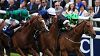 Winter Derby Trial Tips: Decorated Knight
