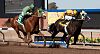 Horse Racing Naps | Newspaper Tips – Betting Bias