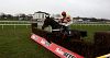 16/1 Might Bite to win the RSA Chase - Betfair Sportsbook
