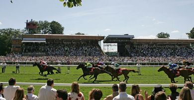 Newmarket Tips: Misty Lord