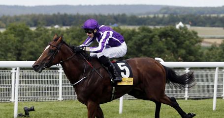 Highland Reel 12/1 to win Hardwicke Stakes with Paddy Power