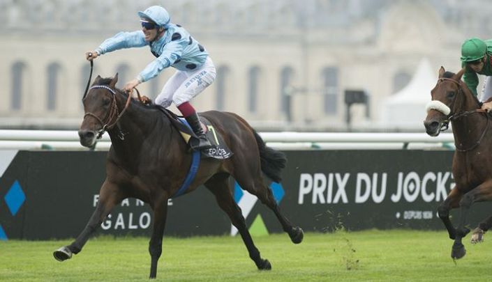 Almanzor enhanced to 8/1 with Paddy Power
