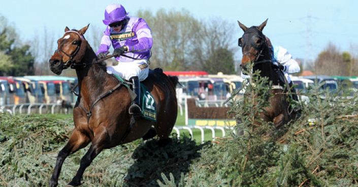 Topham Chase Tips: Bouvreuil