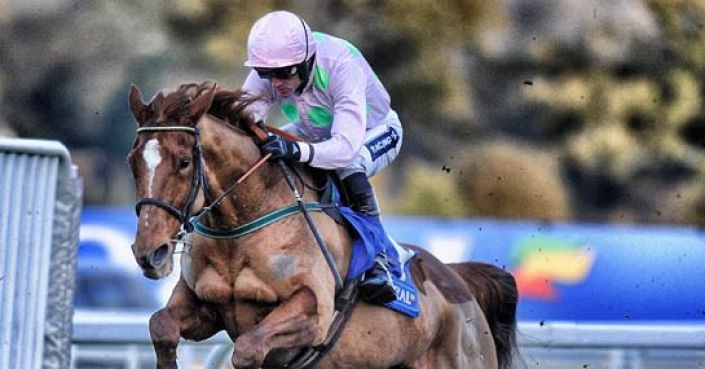 Annie Power to win Aintree Hurdle @ 4/1 - Paddy Power