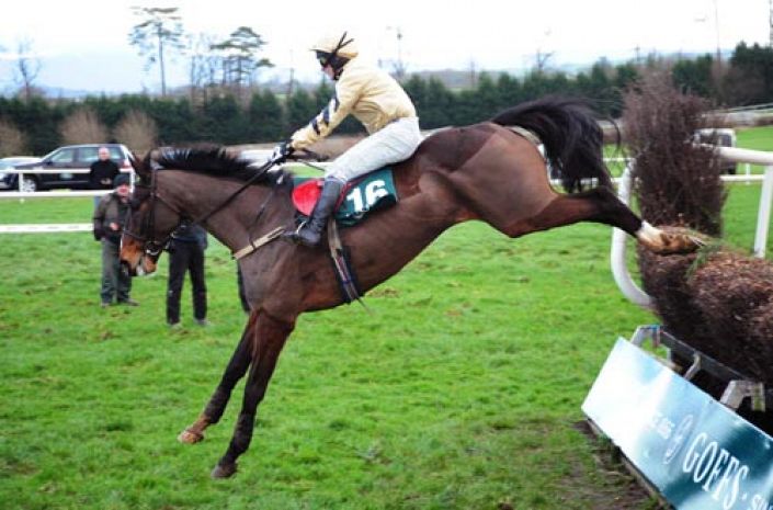 Grand National Odds: On His Own
