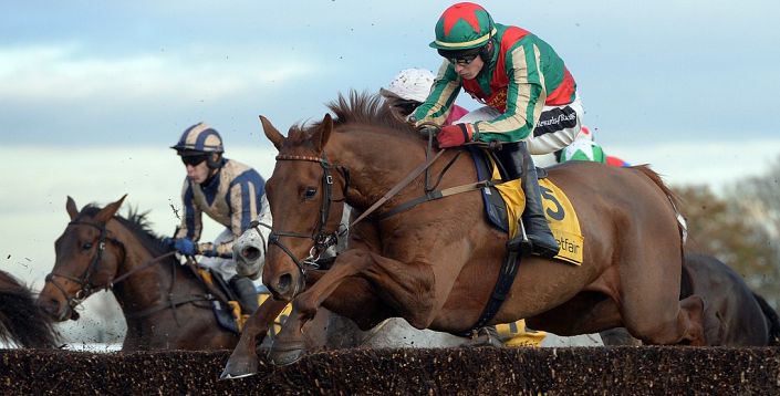 Grand National Odds: Vieux Lion Rouge