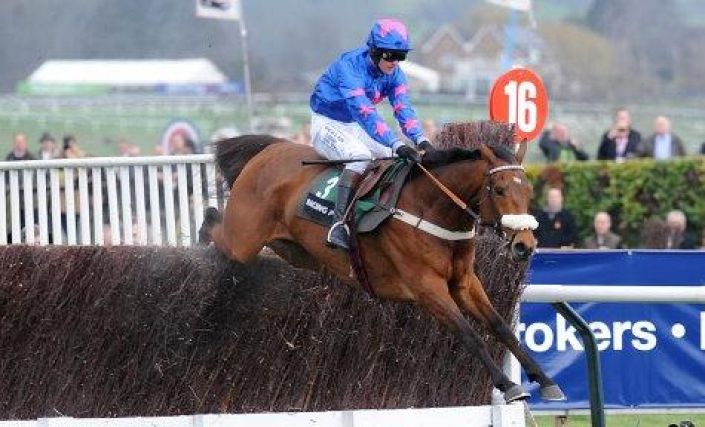 Get Cue Card to win @ 4/1 - Paddy Power