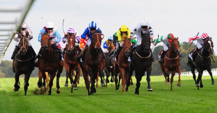 Doncaster Tips: Holmeswood