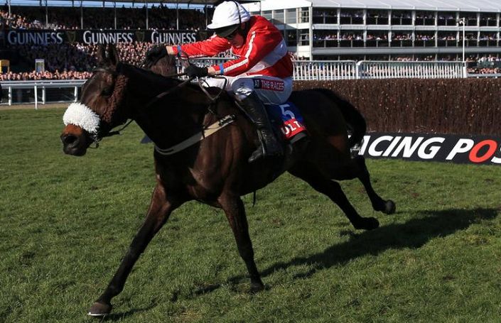 The Druids Nephew Odds – Grand National Guide
