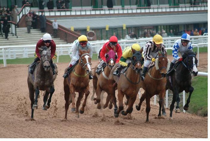 Wolverhampton Tips: Jolly Red Jeanz