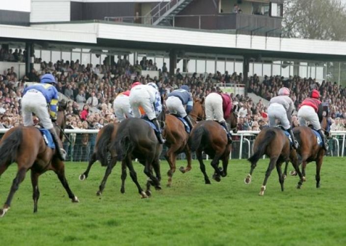 Huntingdon Betting Odds and Racecourse Guide